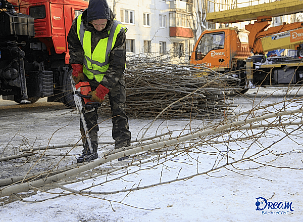 Обрезка деревьев