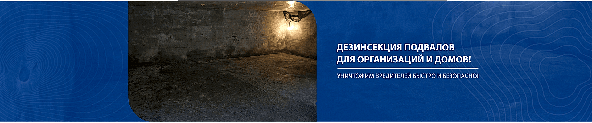 Дезинфекция подвалов