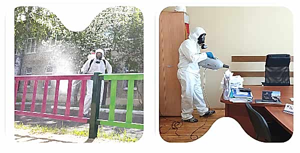 Уничтожение тараканов