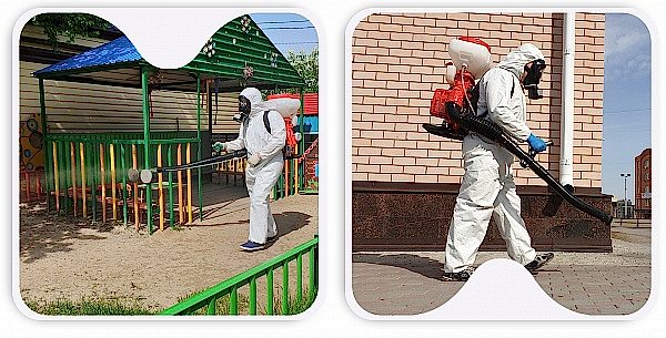 Уничтожение грызунов