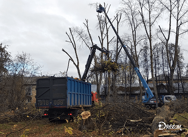 Обрезка деревьев
