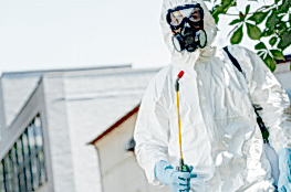 Уничтожение насекомых