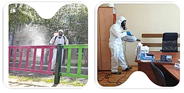 Дезинфекция